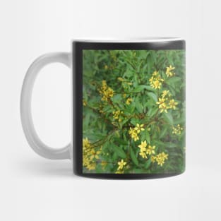 Yellow Flowers Mug